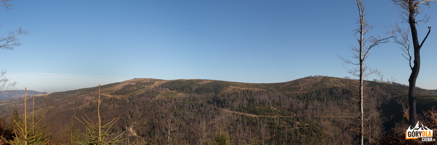 Widok spod szczytu Malinowa na Małe Skrzyczne (1211 m), Kopę Skrzyczeńską (1189 m), Malinowską Skałę (1152 m)