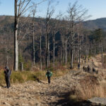 Podejście z Przełęczy pod Malinowem (1005 m) na Malinów (1117 m)