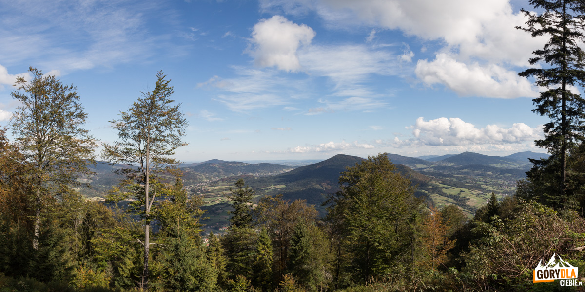 Widok ze szczytu Szczebla(976 m) na Ciecień (829 m), Lubogoszcz (967 m), Śnieżnicę (1006 m), Sałasz (905 m) i Jaworz (921 m), Łopień Wschodni (804 m), Ćwilin (1072 m) i Mogielicę (1170 m)
