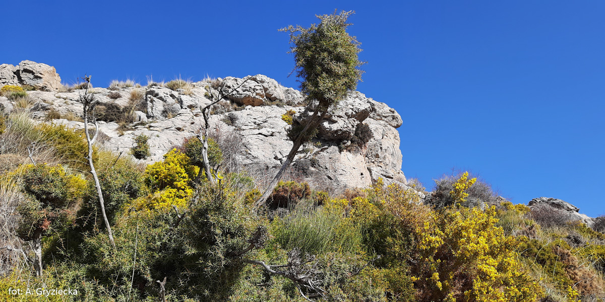 Formacje skalne poniżej szczytu Cerrajon (1653 m)