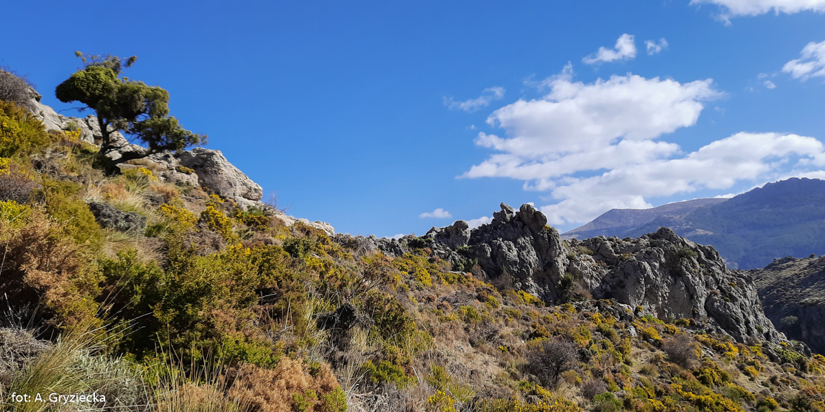 Formacje skalne poniżej szczytu Cerrajon (1653 m)