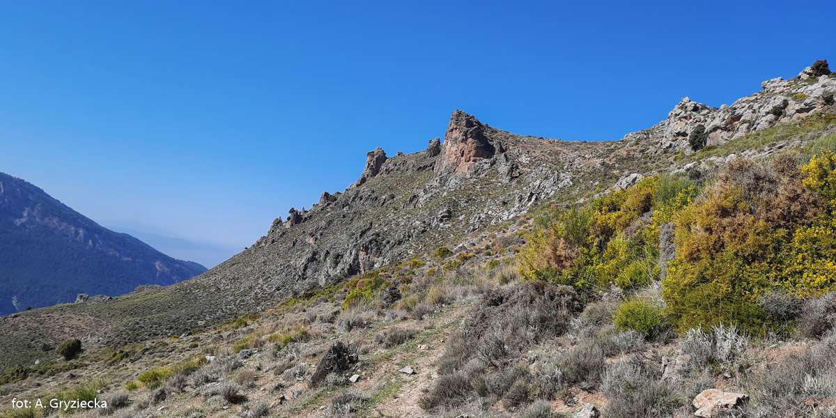 „Wieże” na grani pomiędzy Cerrajon, a Cerro de Manolon.