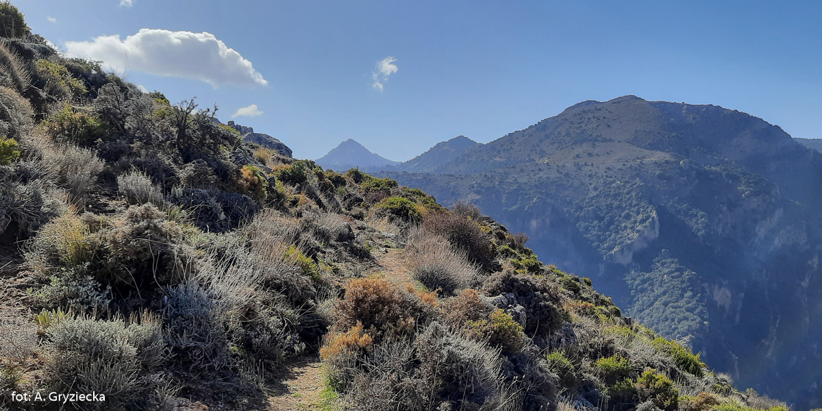 Widok ze ścieżki pod Cerro de Manolon (1599 m) na: Cerro del Trevenque (2083 m), Cerro del Cocon (1856 m) i Cerro de los Poyos de Monachil (1826 m)