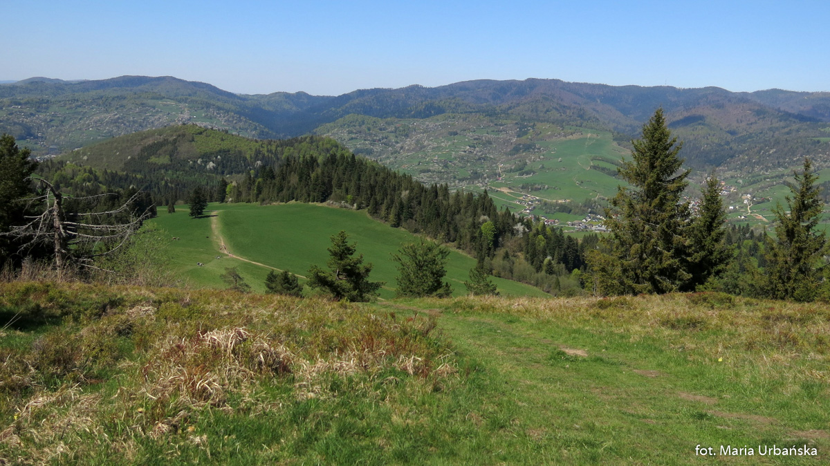 Panorama z Wysokiego Wierchu