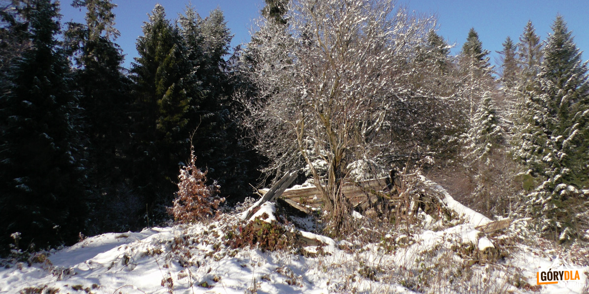 Ruiny bacówki na Polanie Solnisko pod wierzchołkiem Wierch Spalone (1091 m)
