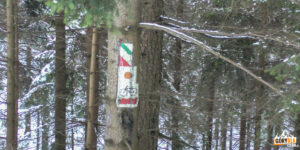 Znaki przy drodze spacerowo-rowerowej Koninki - Konina