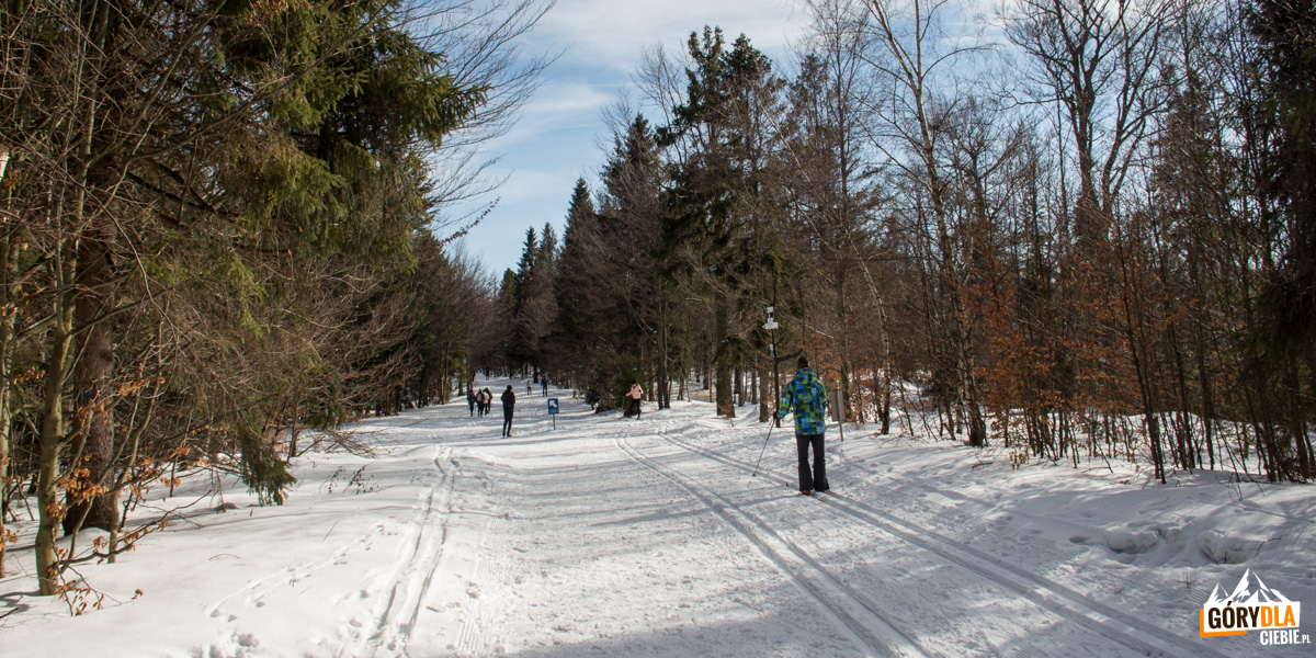 Niebieski szlak na Czupel i trasy narciarstwa biegowego pod Magurką Wilkowicką