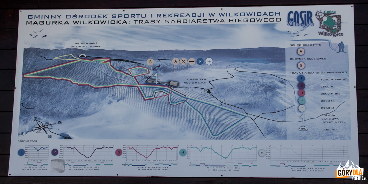 Trasy narciarstwa biegowego na grani Maugki Wilkowickiej