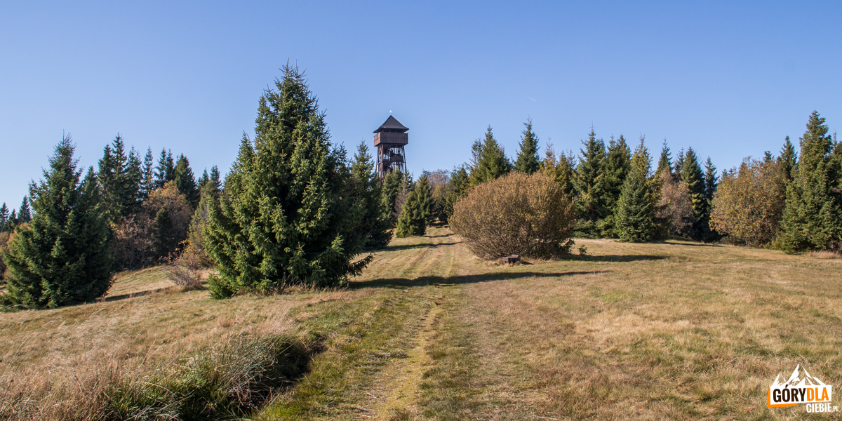 Wieża widokowa na Magurkach (1108 m)