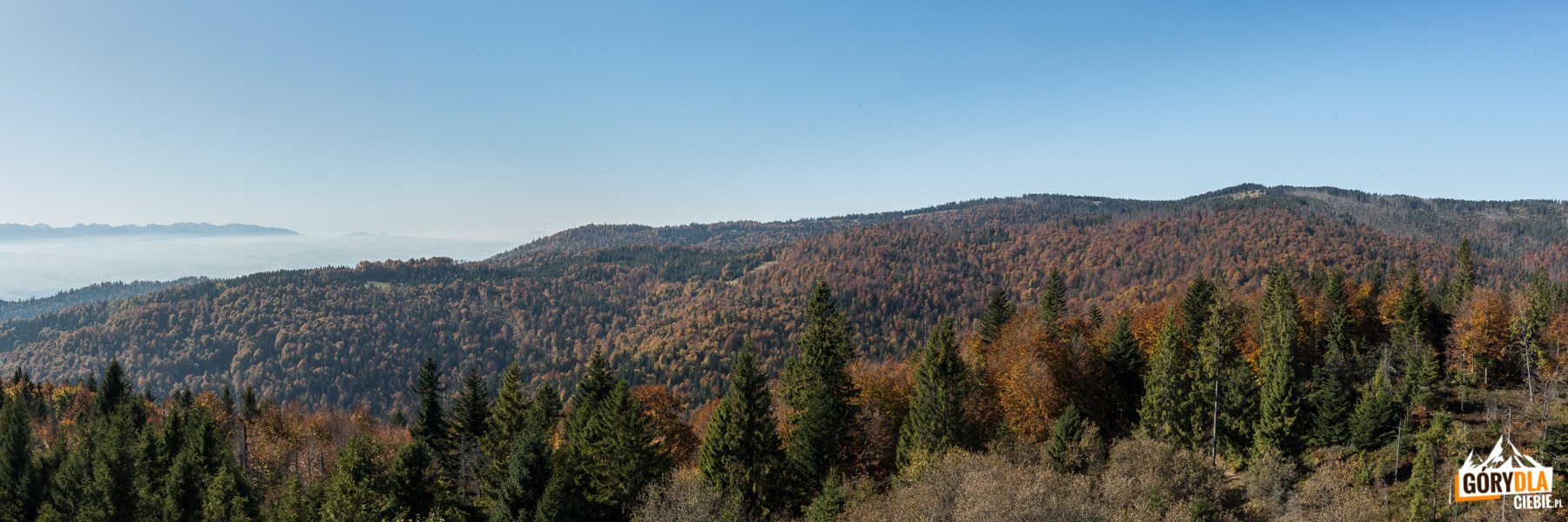 Panorama z wieży widokowej na Magurkach: Tatry Zachodnie, Góry Choczańskie, Gorce (Polana Zielenica i Kiczora)