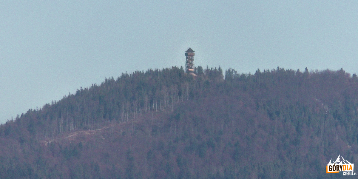 Wieża na Lubaniu widziana z grani Taboru
