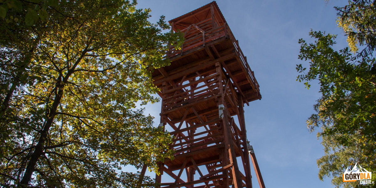 Wieża widokowa na Polczakówce 588 m n.pm.