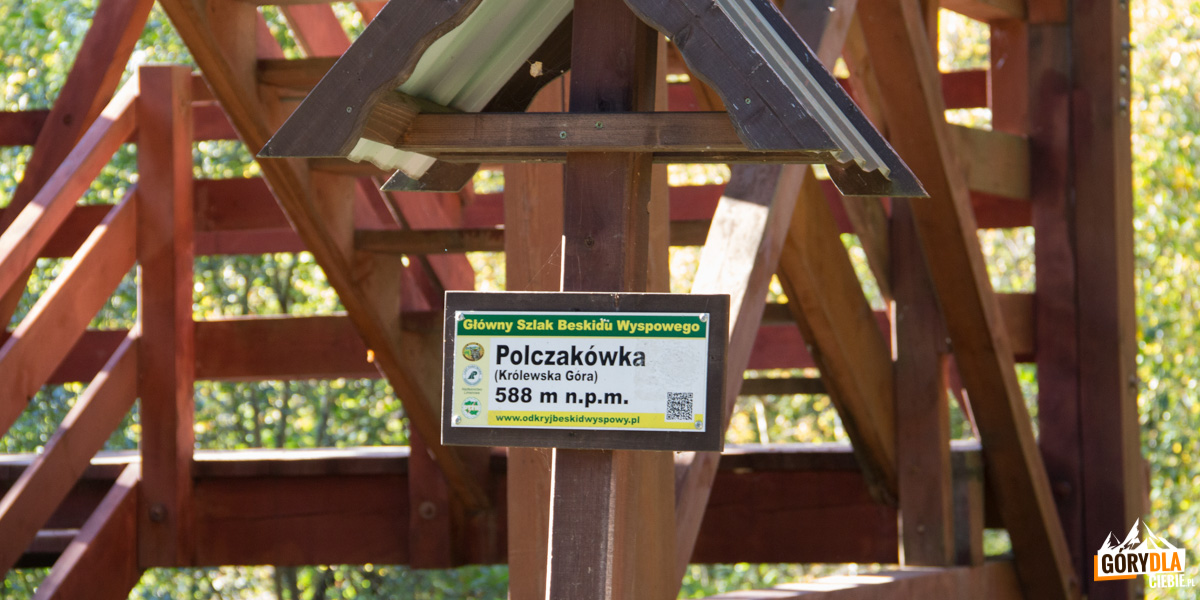 Polczakówka (Królewska Góra) 588 m n.pm.