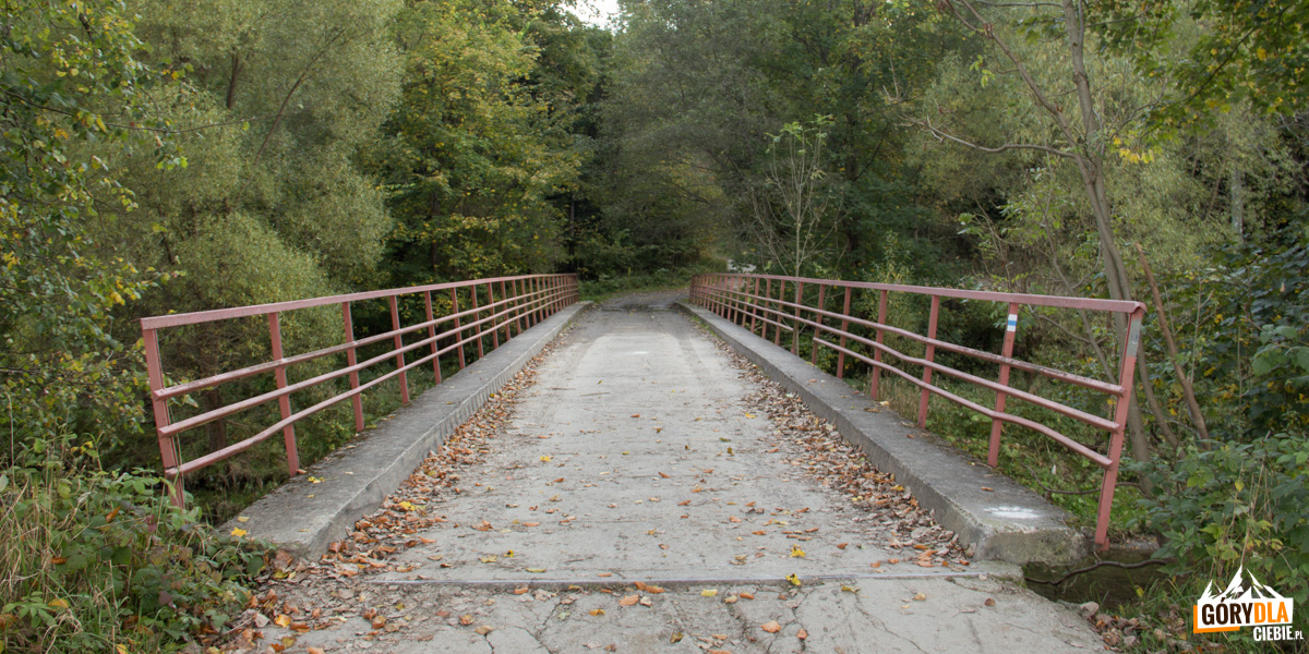 Most na Rabie na trasie niebieskiego szlaku na Polczakówkę