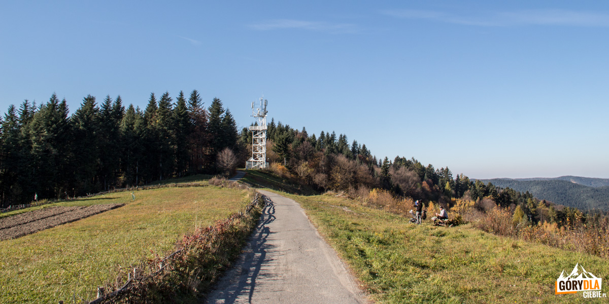 Wieża widokowa na górze Chełm