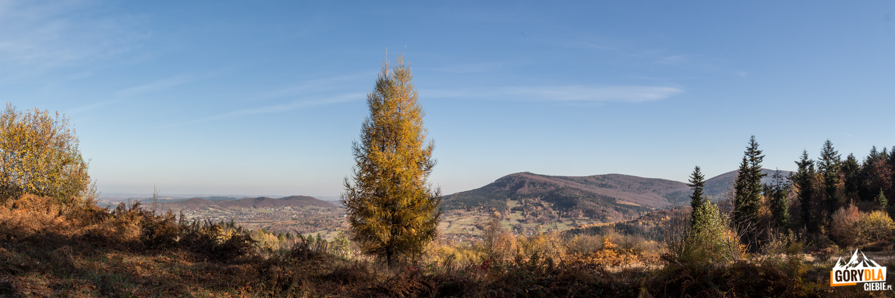 Z tej widokowej polanki zobaczymy ładną panoramą (od lewej) niżej położonego pasma Trupielca (475 m) i Glichowca (523 m) oraz grań Kamiennika i szczyt Łysiny