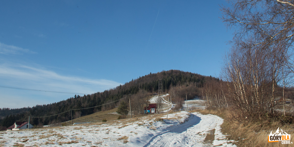 Szutrowa droga z osiedla Stolarzówka do wieży widokowej pod Jaworzem (921 m)