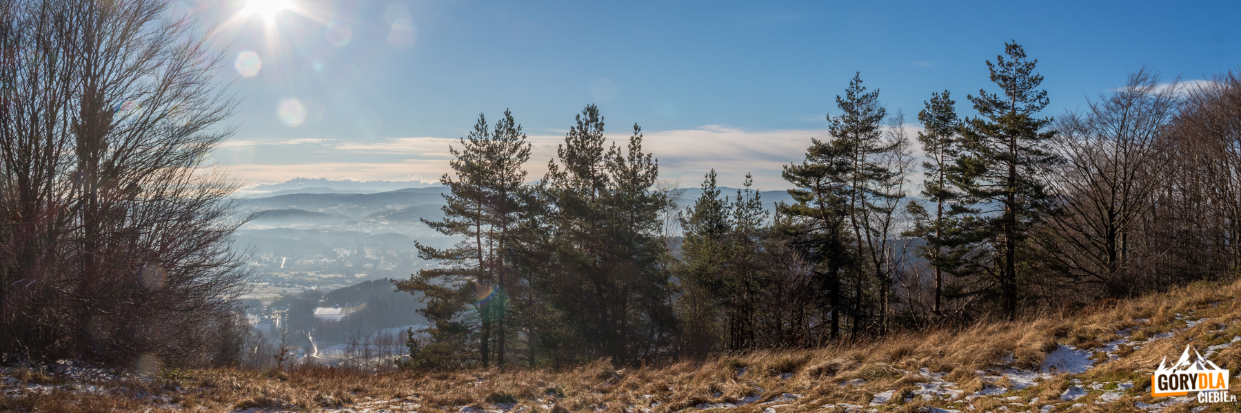 Widok ze szczytu Sałasza Małego (Zachodniego) na Tatry, Modyń i Gorce