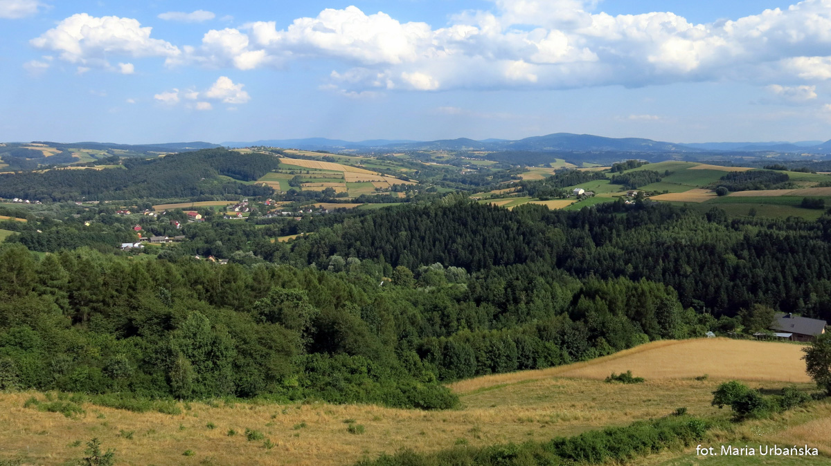 Panorama z wieży widokowej na Bruśniku