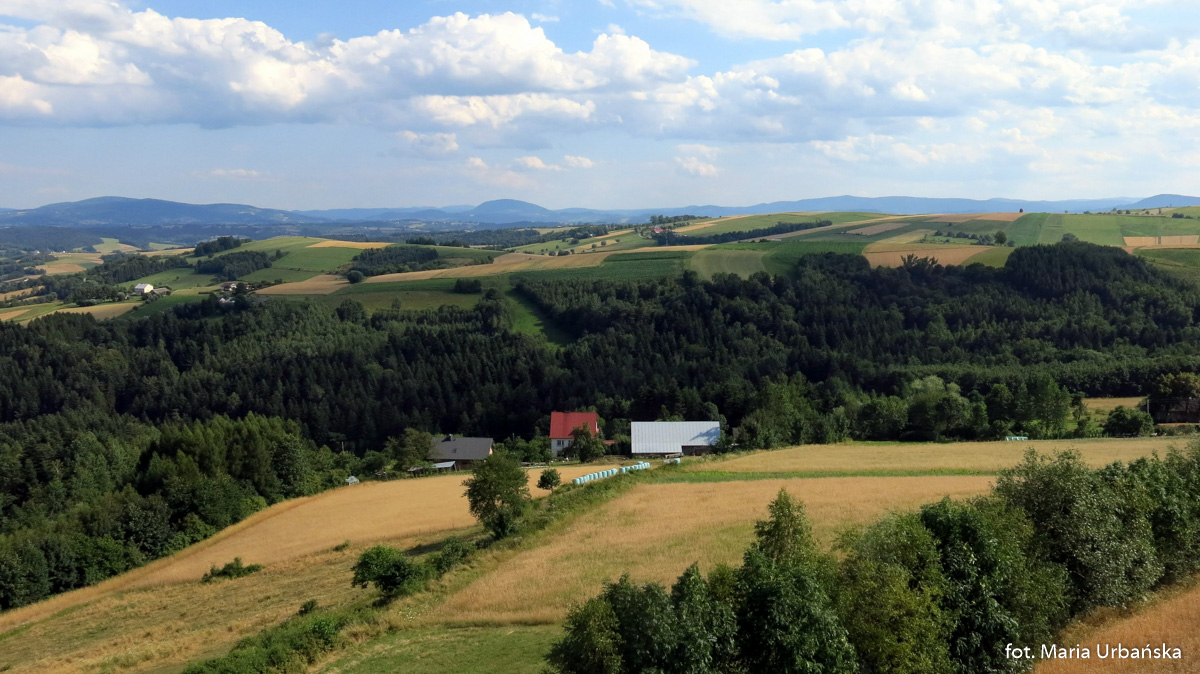 Panorama z wieży widokowej na Bruśniku