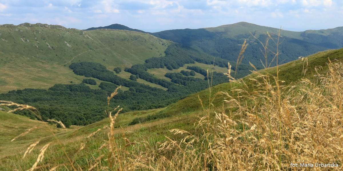 Panorama widziana z podejścia na Tarnicę