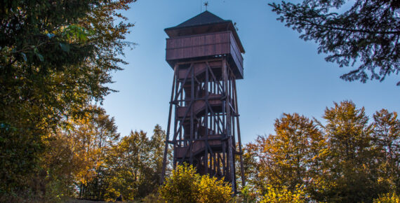 Koziarz