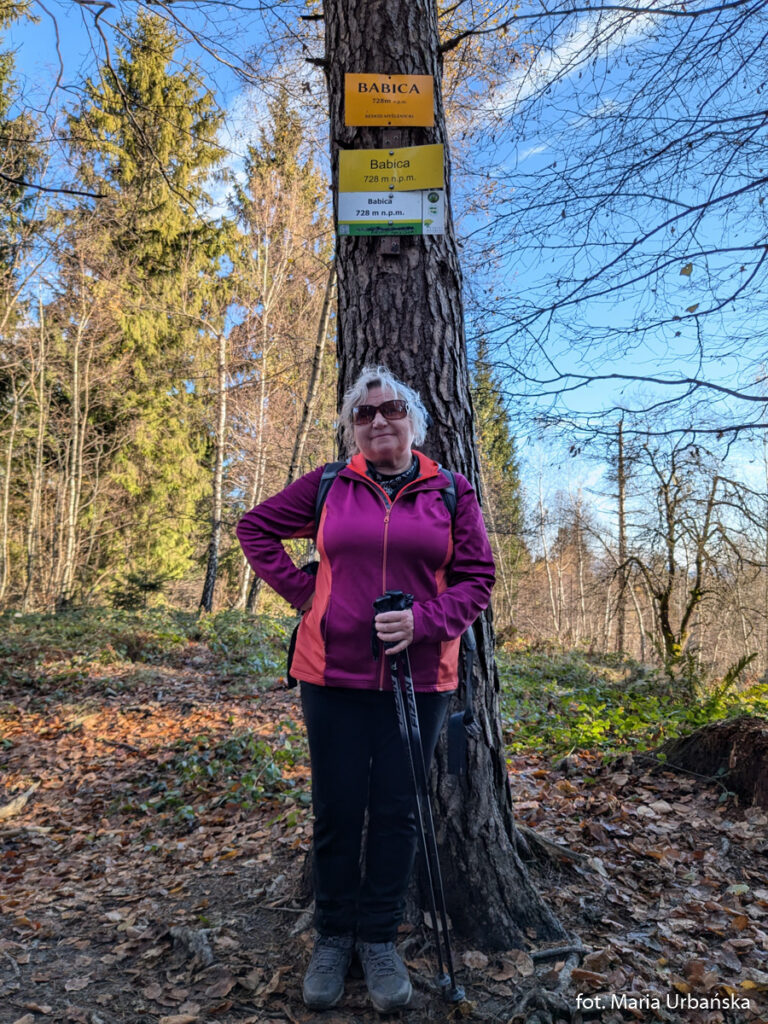 Babica - szczyt w Beskidzie Makowski