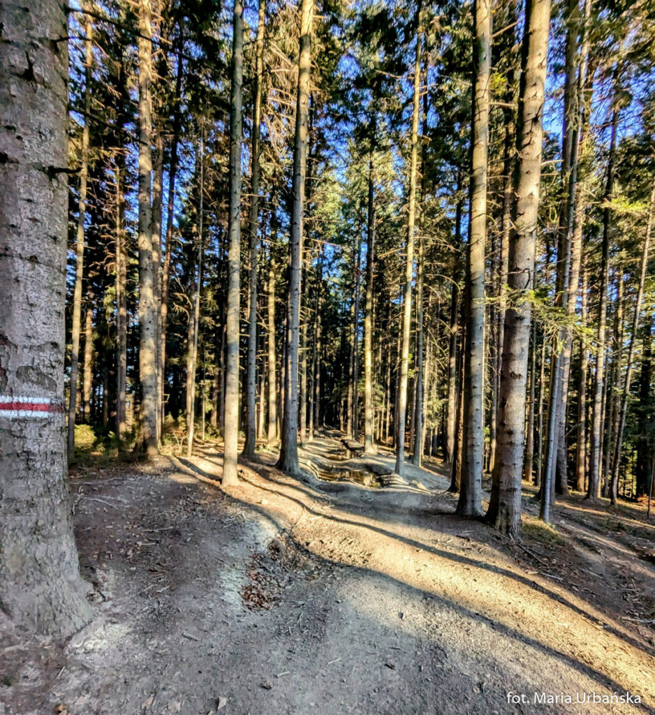 Czerwono znakowany Mały Szlak Beskidzki