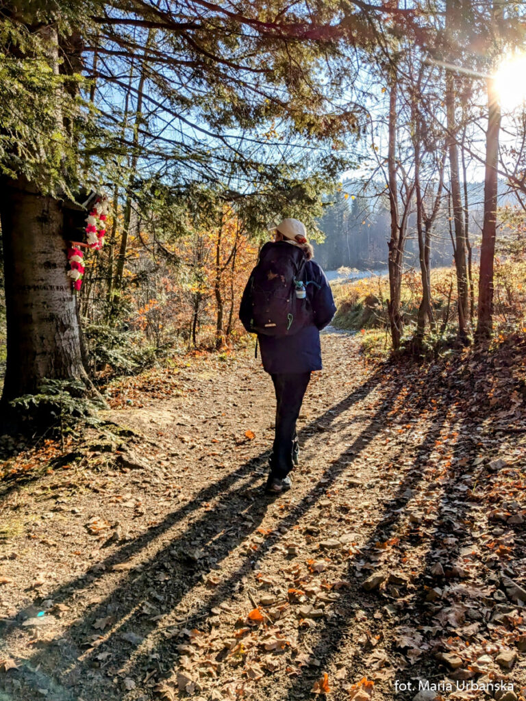 W drodze na Babicę w Beskidzie Makowskim