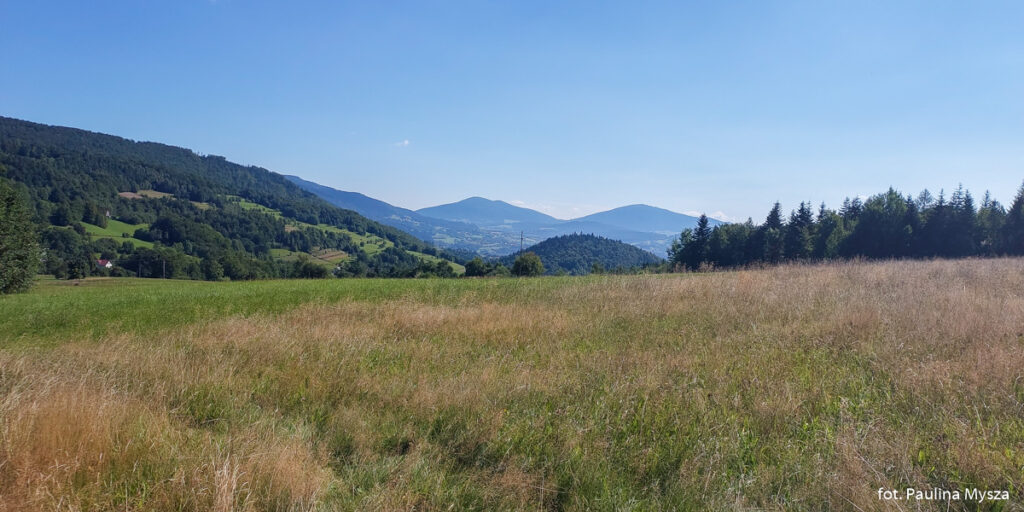 Luboń Wielki z przełęczy Glisne