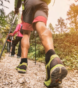 flexus shots na stawy