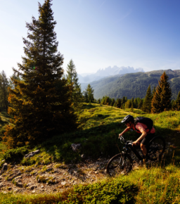 Elektryczne rowery górskie