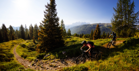 Elektryczne rowery górskie