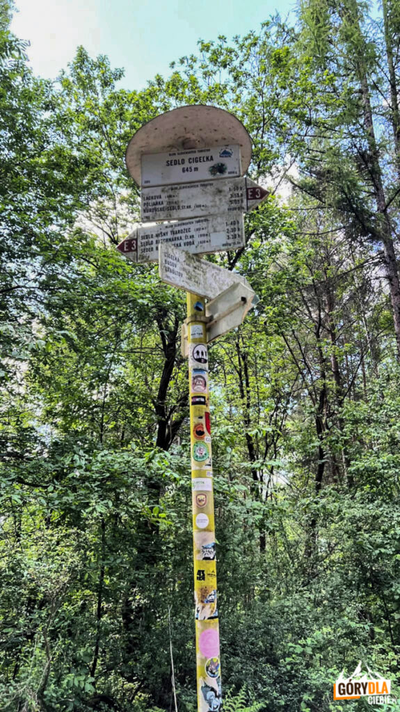 Święta Góra Jawor