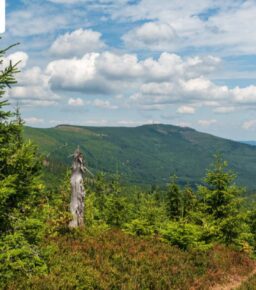 Wypoczynek z widokiem w górach – gdzie uciec od codzienności