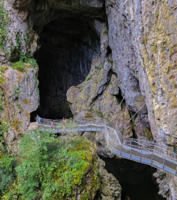 Jaskinie Szkocjańskie