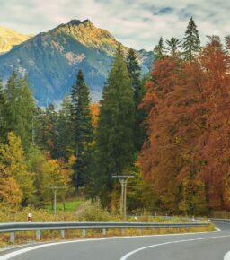 Jak przygotować samochód na górskie drogi i strome podjazdy