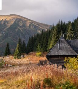 Domki w Zakopanem oczami turystów