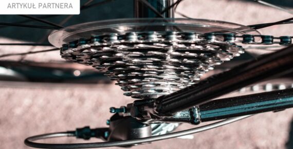 Jaki rower na trasy w Pieninach?