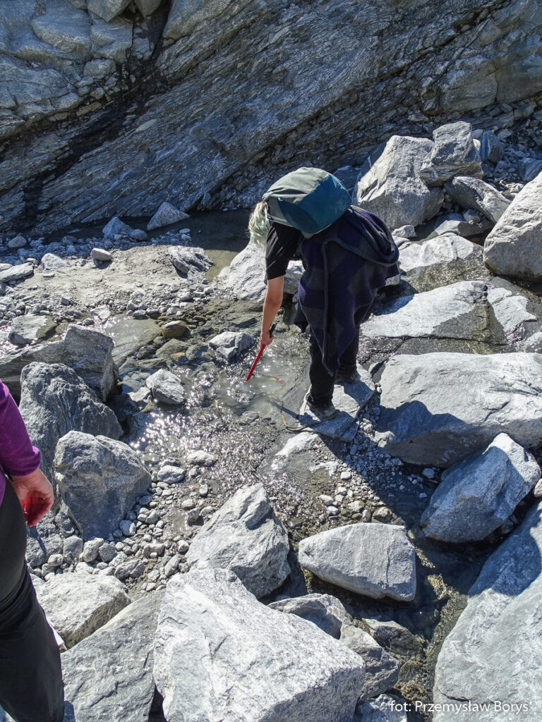 Nigardsbreen