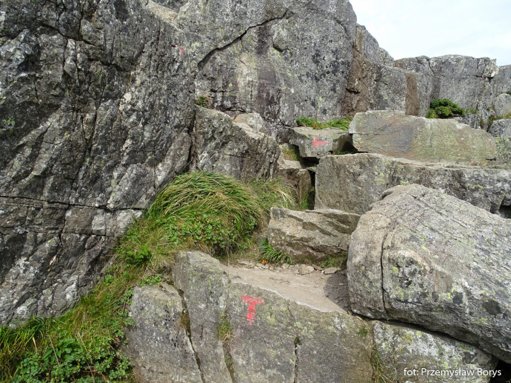 Preikestolen